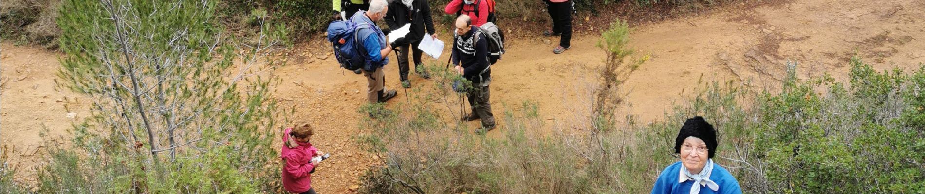 Excursión Senderismo La Cadière-d'Azur - le grand caunet - Photo