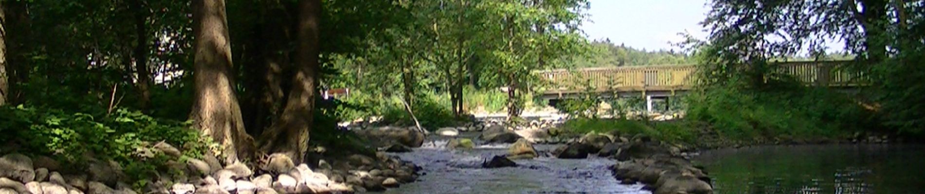 Tour Zu Fuß Plön - Plöner Seen - Photo