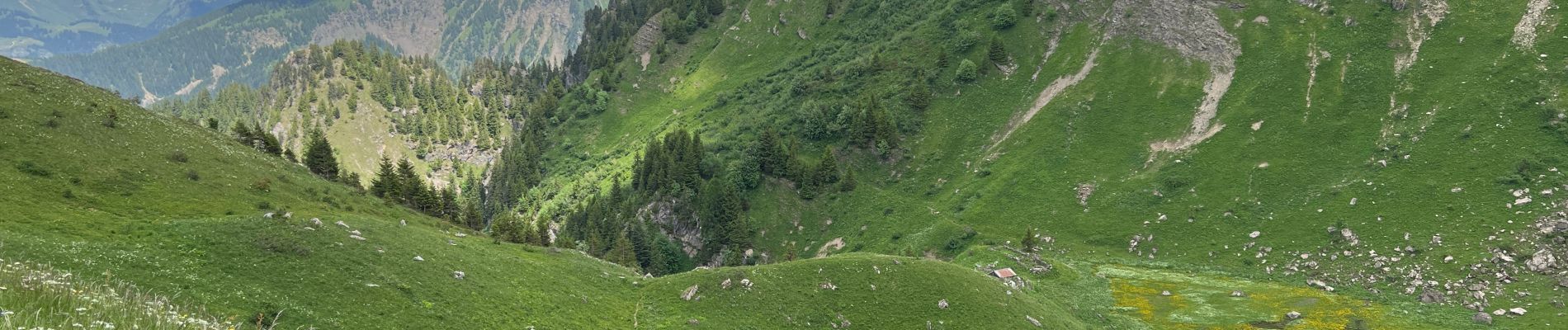 Tocht Stappen Abondance - Rando abondance - Photo