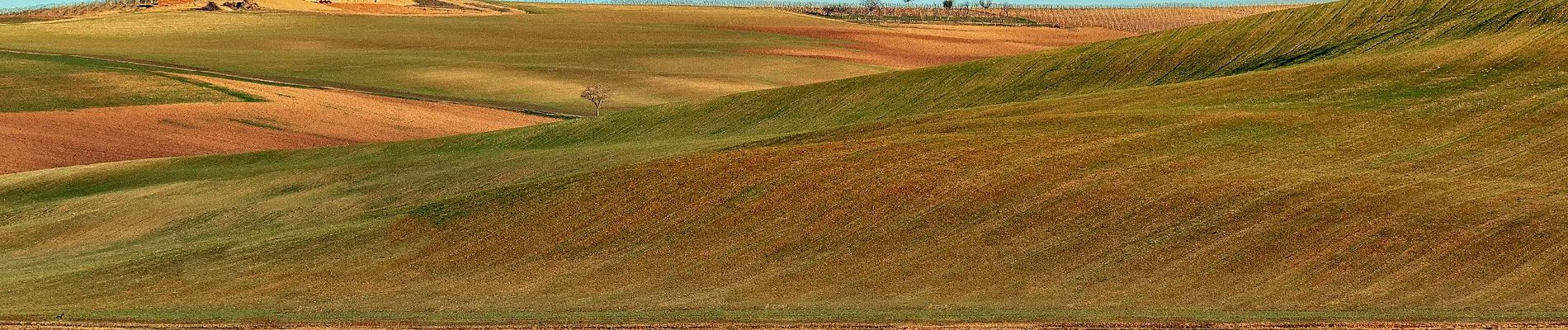 Trail On foot Viarigi - IT-505 - Photo