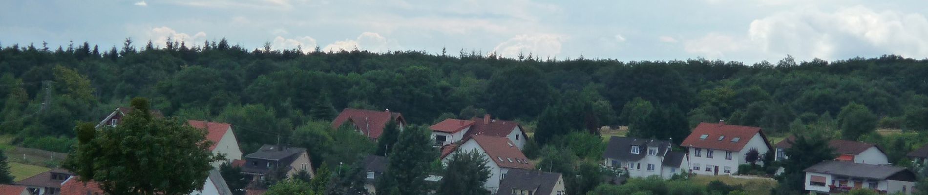 Excursión A pie Stromberg - Schöner Berg Weg - Photo