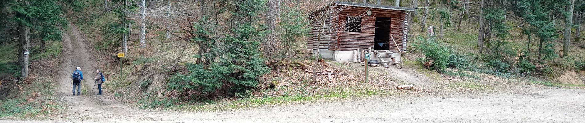 Tour Wandern Buhl - Wolfsgrube (4/3/2021) - Photo