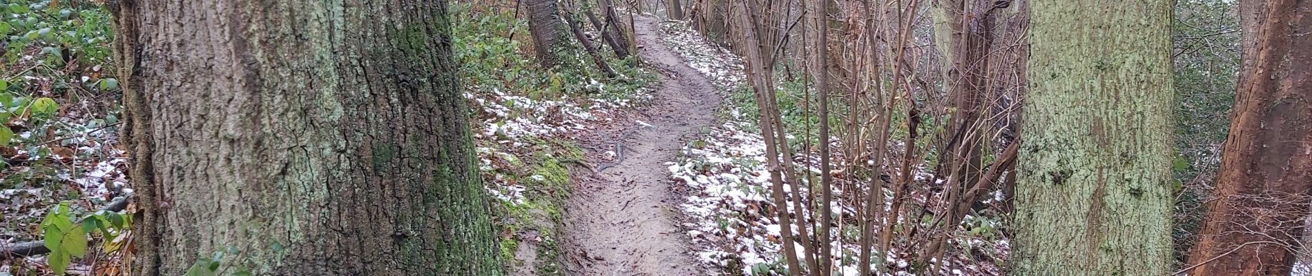 Tocht Trail Jemeppe-sur-Sambre - Boucle de l'Epicurienne - Photo