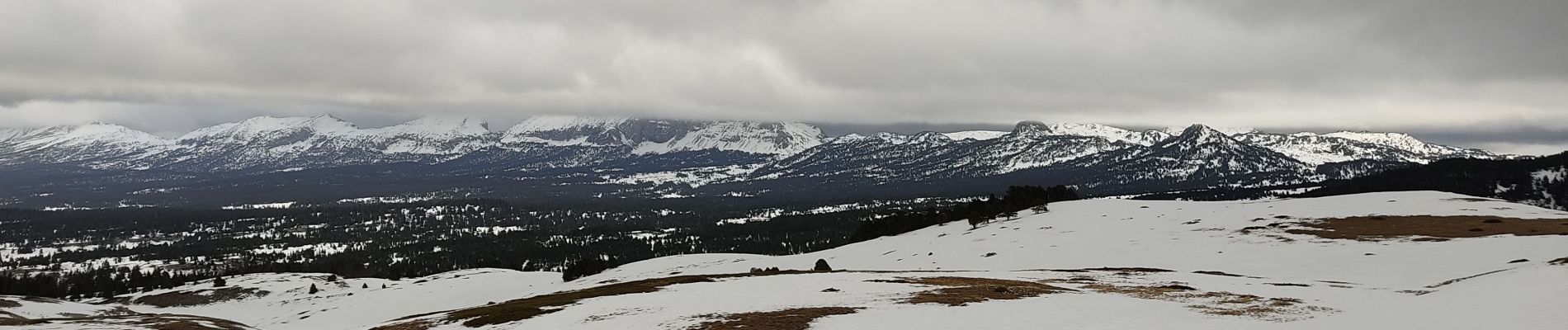 Tour Schneeschuhwandern Saint-Agnan-en-Vercors - raquettes Col du rousset - Photo