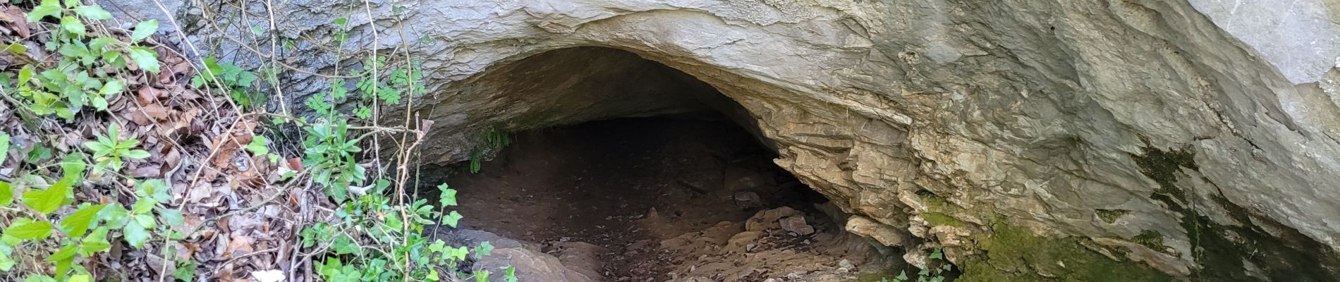 Percorso Marcia Plan-d'Aups-Sainte-Baume - Le Plan d'Aups la grotte de Castelette - Photo