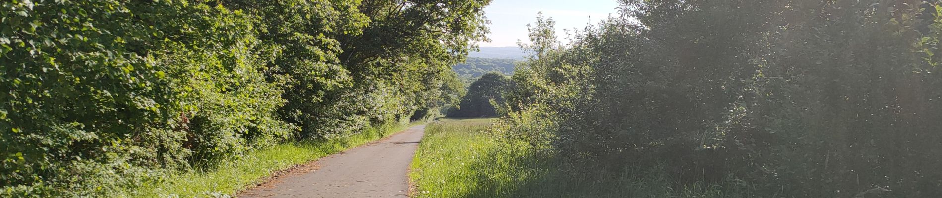 Tocht Stappen Saulny - plesnois - Photo