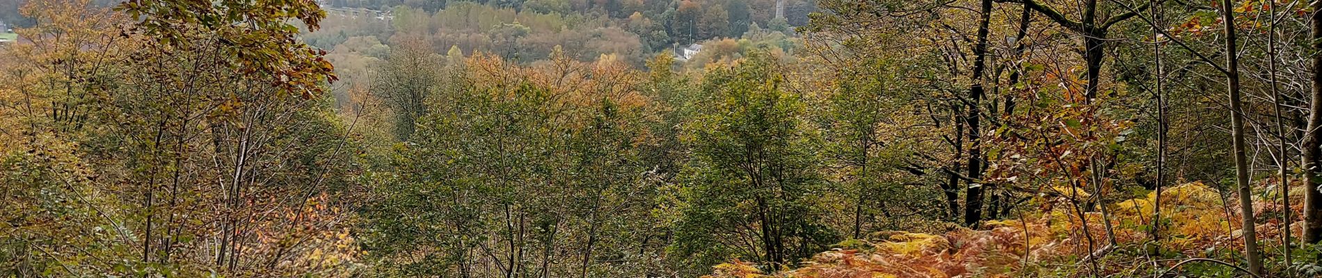 Trail Walking Montigny-le-Tilleul - De LANDELIES à LABUISSIERE _ De Gare à Gare _ RB 5 _ 27/10/2021 - Photo