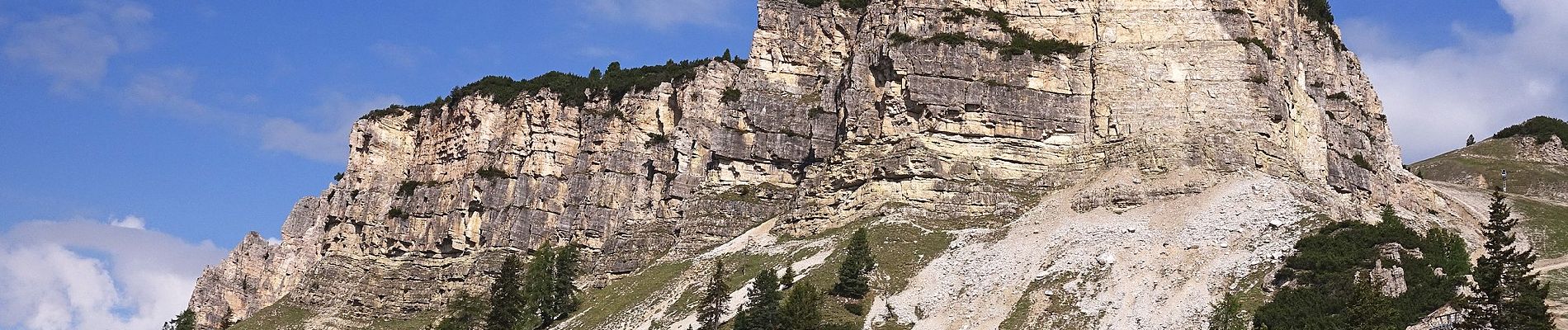 Trail On foot Cortina d'Ampezzo - IT-203 - Photo