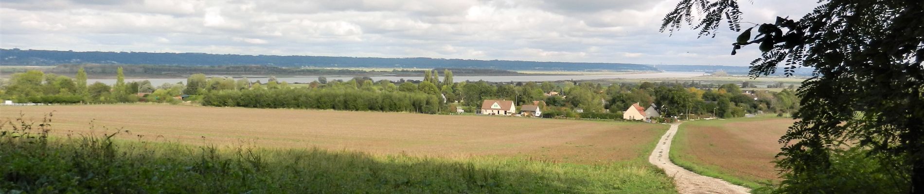 Randonnée A pied Berville-sur-Mer - berville sur mer - Photo