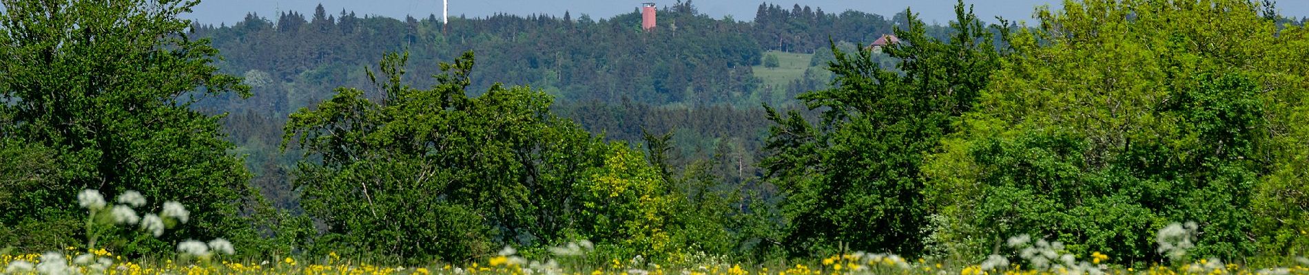 Tour Zu Fuß Gomadingen - Traufgang Wiesenrunde - Photo