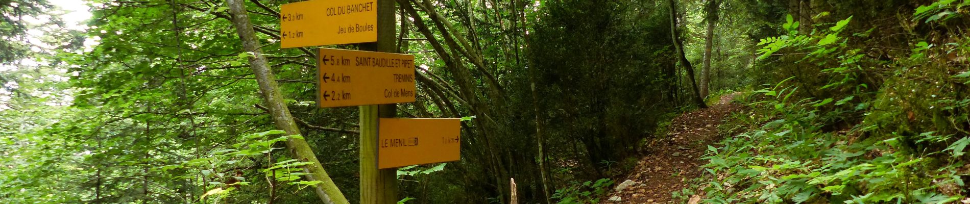 Tour Wandern Saint-Baudille-et-Pipet - Esclops Trièves le menil - Photo