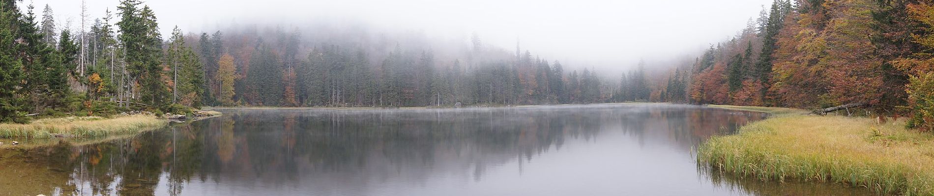 Tocht Te voet Sankt Oswald-Riedlhütte - Fuchs - Photo