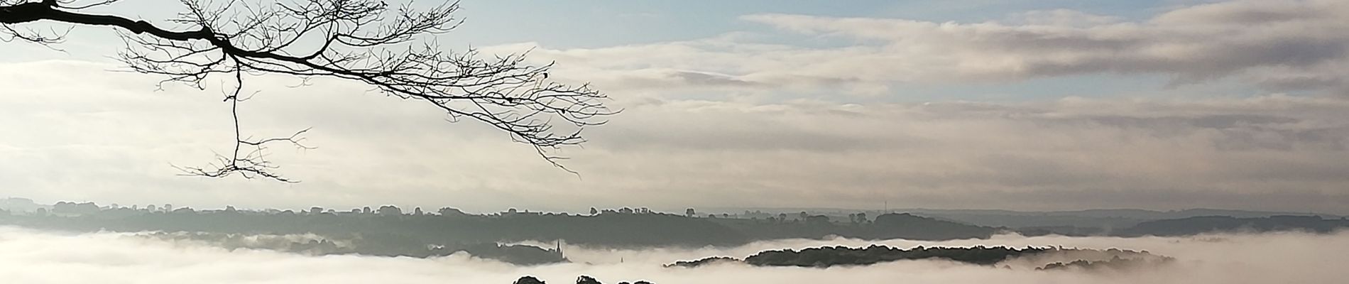 Tour Wandern Esneux - Chez moi - Photo