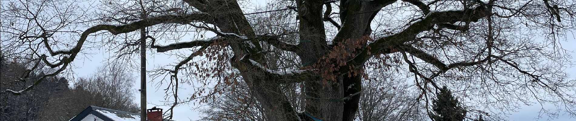 Tocht Stappen Stoumont -  Neucy , bergerie de la Lienne 13 Km - Photo