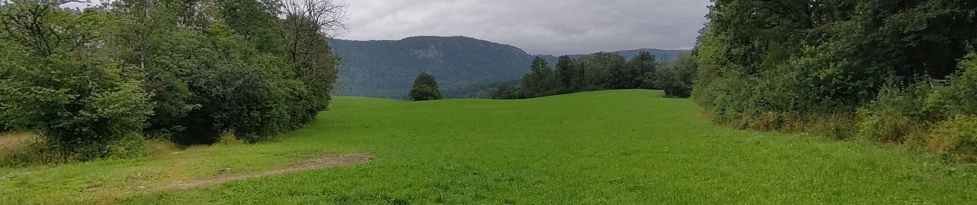 Tocht Stappen Le Frasnois - balade des cascades du Hérisson  - Photo