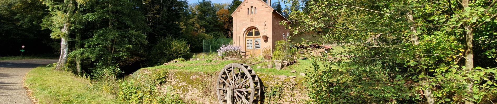 Tocht Stappen Oberhaslach - mutzig rocher - Photo