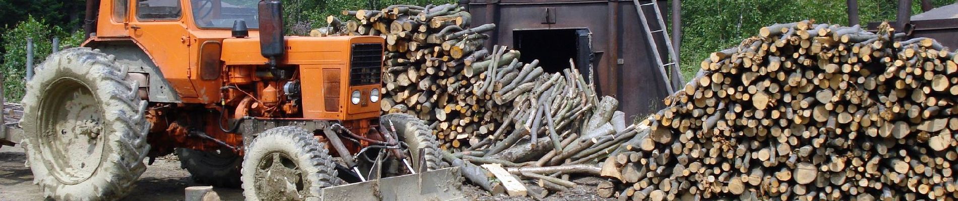 Excursión A pie Bukowiec - Ścieżka przyrodnicza na Korbanię - Photo