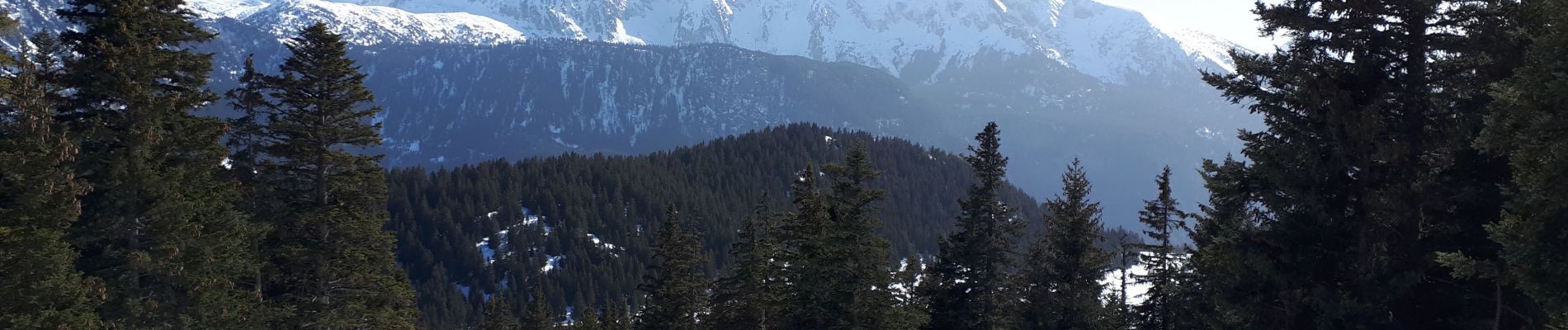 Tour Schneeschuhwandern Vaulnaveys-le-Haut - Lac Achard, Col de l'Infernet, col de la Botte et Croix de Chamrousse en circuit - Photo