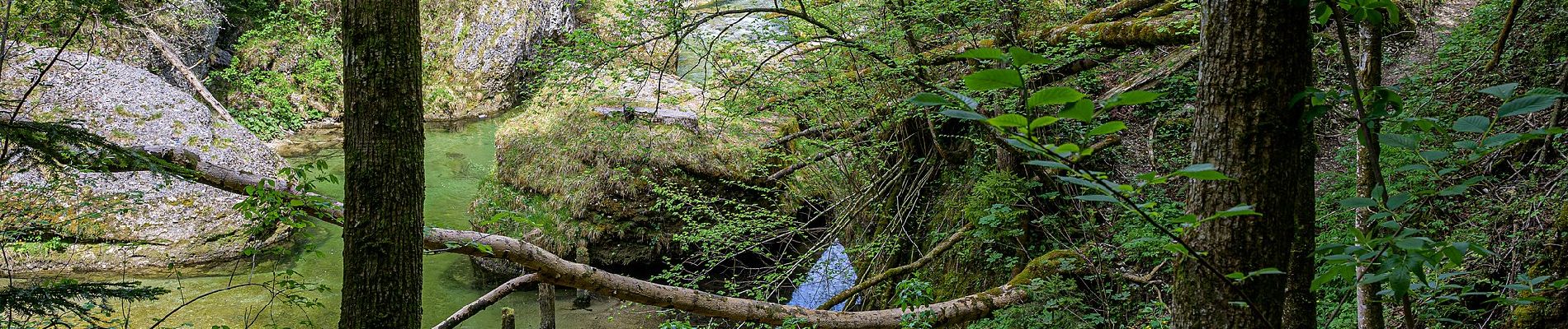 Percorso A piedi Molln - Flötzersteig-Runde - Photo