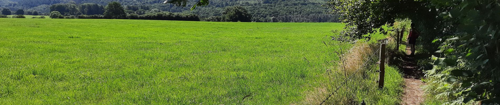 Tour Wandern Neupré - Rotheux - Photo