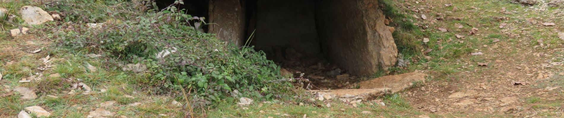 Randonnée Marche Miers - Miers- Les dolmens - Photo