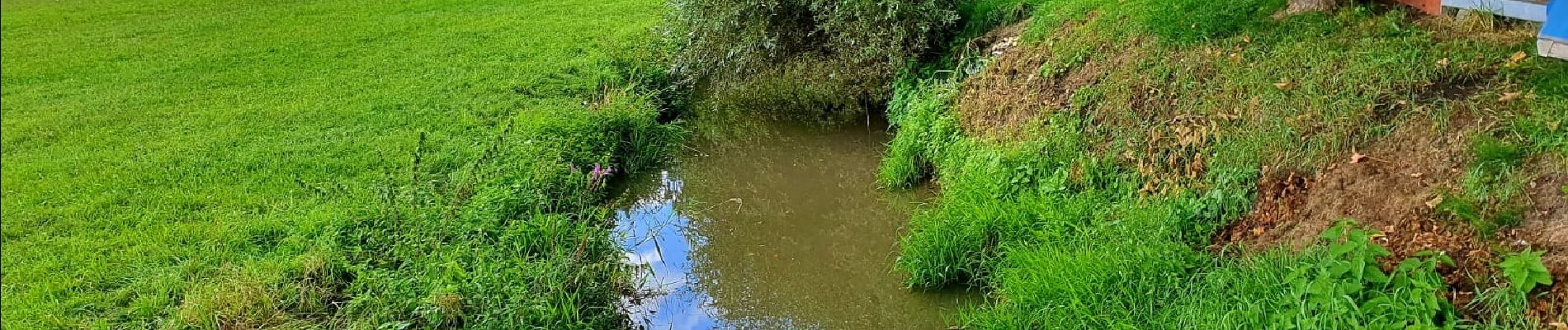 Tour Zu Fuß Lonnerstadt - Rundweg Lonnerstadt L1 - Photo