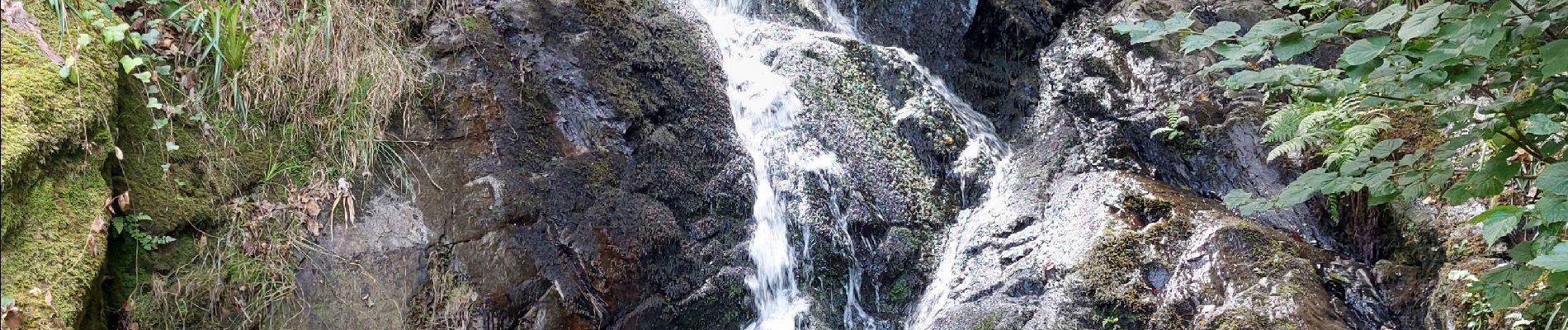 Tour Wandern Mauriac - le trou du loup - Photo