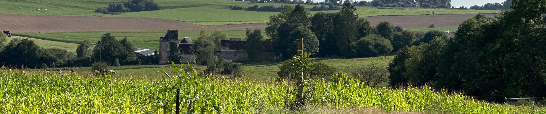 Tocht Stappen Assesse - Sart Bernard 22,6 km - Photo