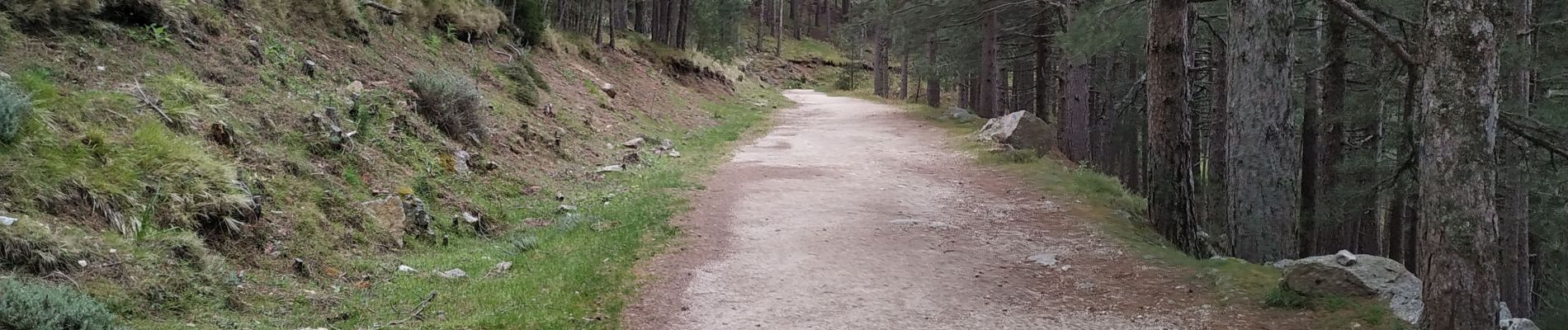 Tocht Stappen Dauphin - trou de la bombe Bavella - Photo