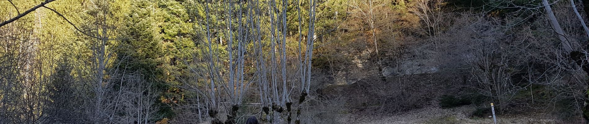 Percorso A piedi Engins - Le Pas du Curé - Photo