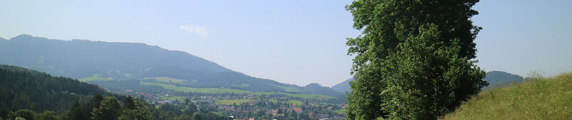 Tour Zu Fuß Semriach - Wanderweg 13a - Photo