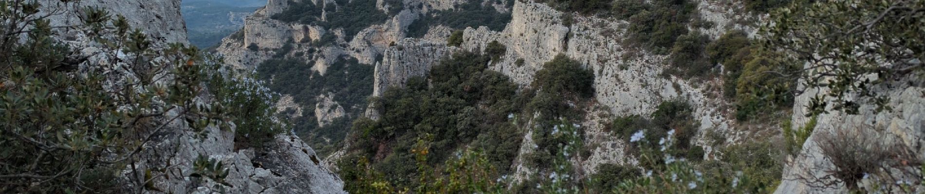 Trail Walking Cheval-Blanc - Rochers de Cairas & Onzes Heures - Photo