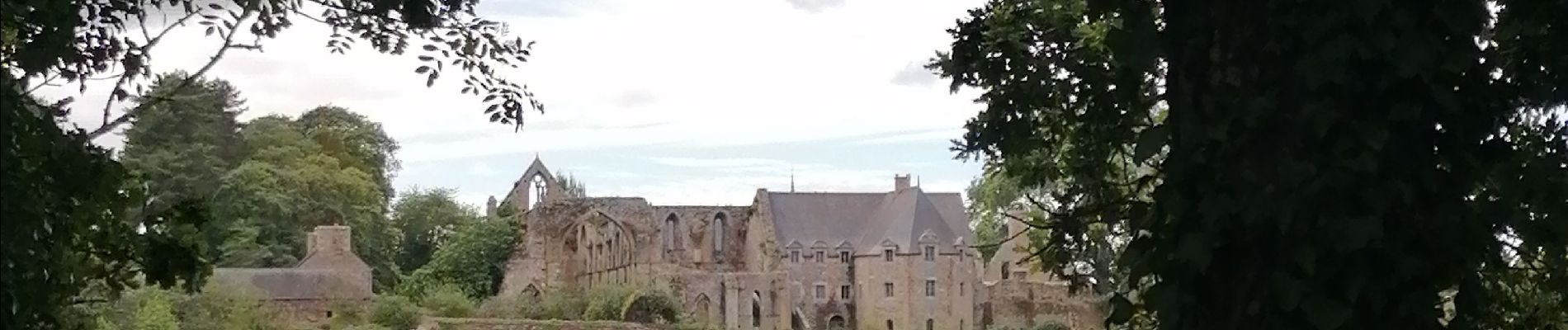 Randonnée Marche Paimpol - Autour de l'Abbaye de Beauport - Photo
