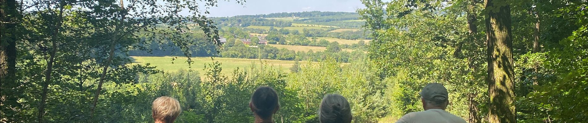 Tour Wandern Marche-en-Famenne - Lignières - Photo