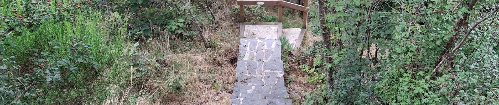 Excursión Senderismo Martelange - Martelange, Radelange, Forêt d’Anlier - Photo