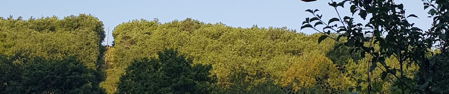 Tour Elektrofahrrad Marnac - Dordogne - GCU - Jour 7 - Domme - Photo