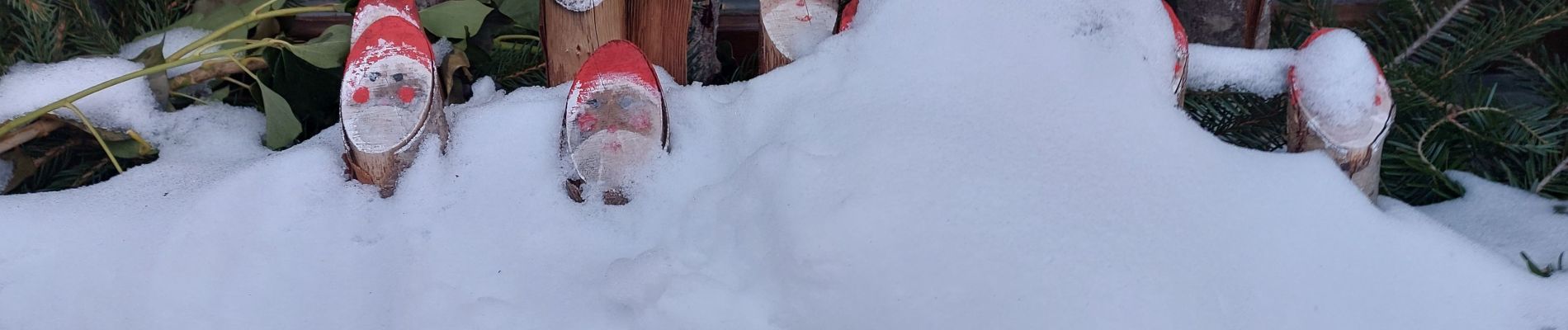 Randonnée Raquettes à neige Gérardmer - Gerardmer #3 raquettes - Photo