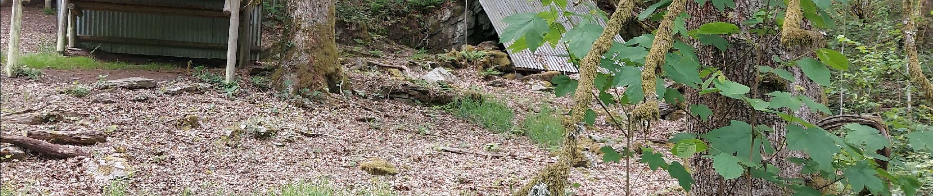 Randonnée Marche Vresse-sur-Semois - Laforet 080621 - Photo