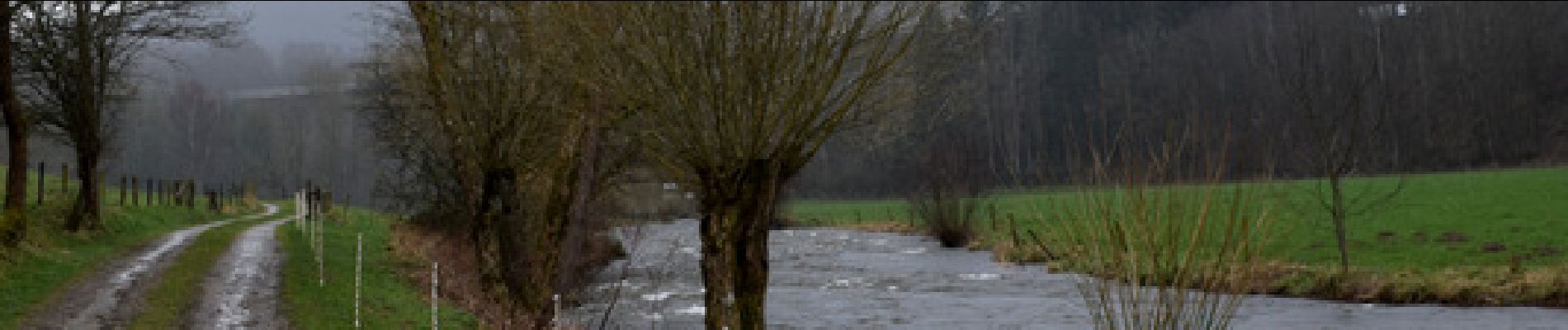 Tocht Stappen Trois-Ponts - Amblève  épisode 9 : Trois-Ponts  Malmedy - Photo