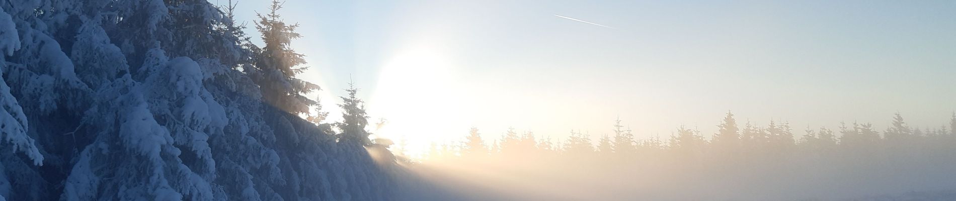 Randonnée Marche Waimes - botrange au dessus des nuages  - Photo