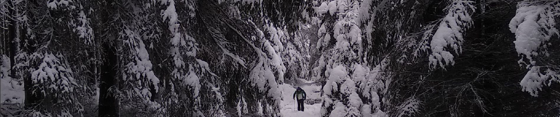 Tocht Stappen Jalhay - Solwaster-Statte-Hoegne - Photo