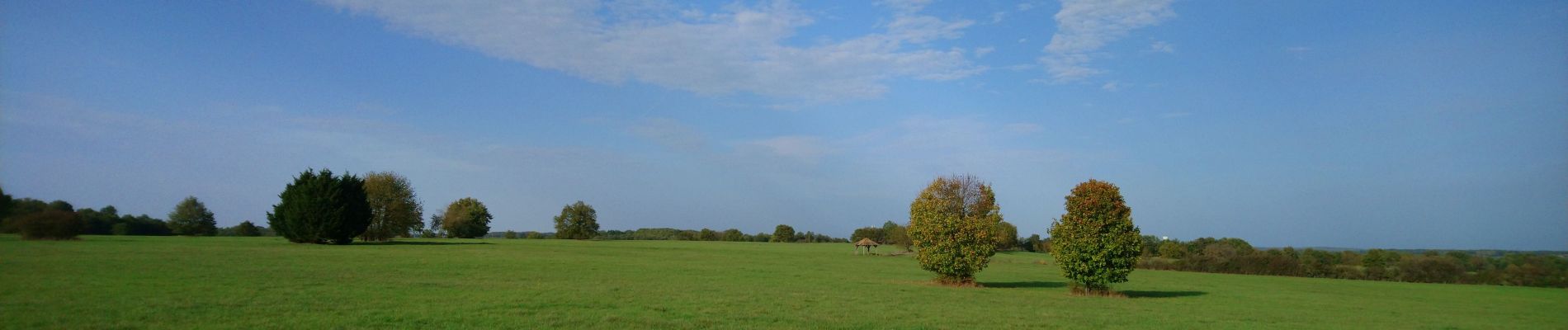 Trail Walking Reugny - Reugny - variante PRs via Neuillé-le-Lierre - 25.7km 300m 5h45 (30mn) - 2022 10 29 - Photo