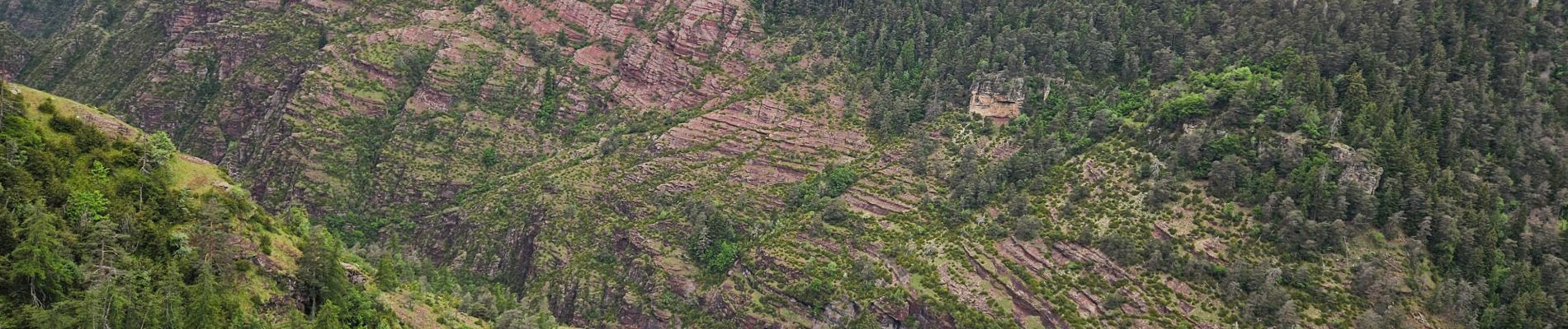 Tocht Stappen Beuil - Les Cluots par les Gorges du Cians supérieur - Photo