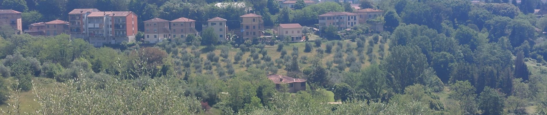 Randonnée Marche Monteriggioni - CR_Francigena_DE_41_Monteriggioni_Siena_20230523 - Photo