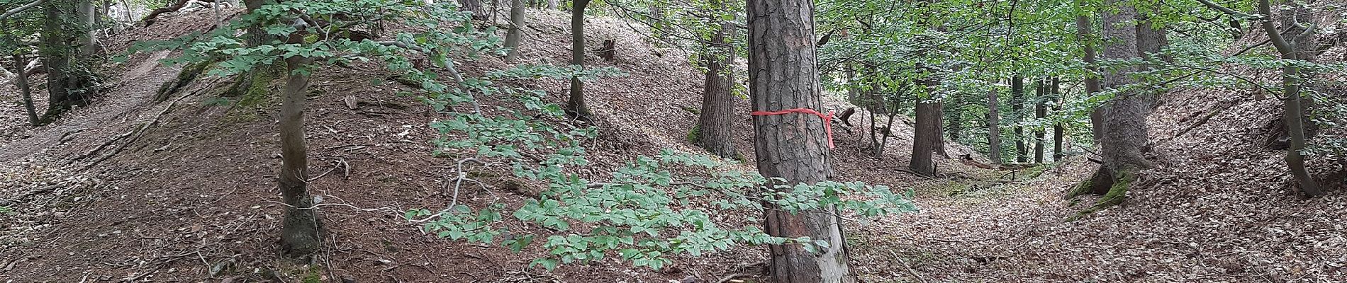 Percorso A piedi Alzenau - Kulturweg Alzenau 2 - Photo