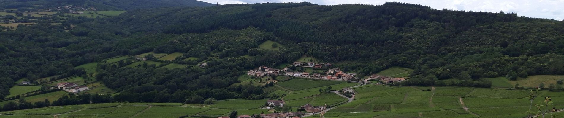 Excursión Senderismo Vergisson - Les 2 Roches Solutre - Photo