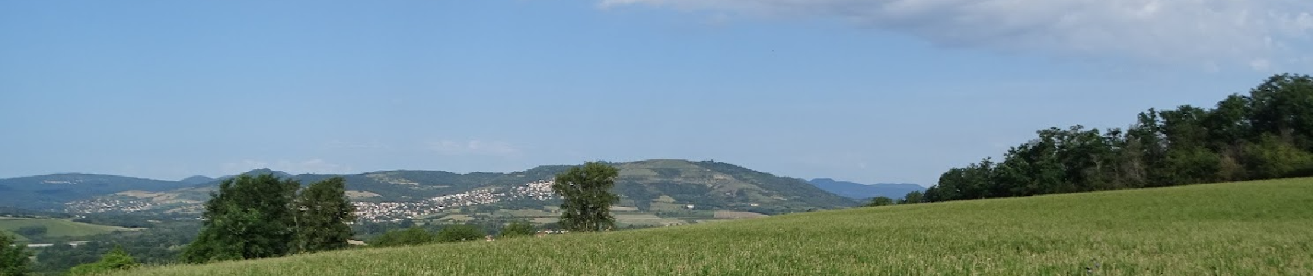 Randonnée Marche Romagnat - Opme - Photo