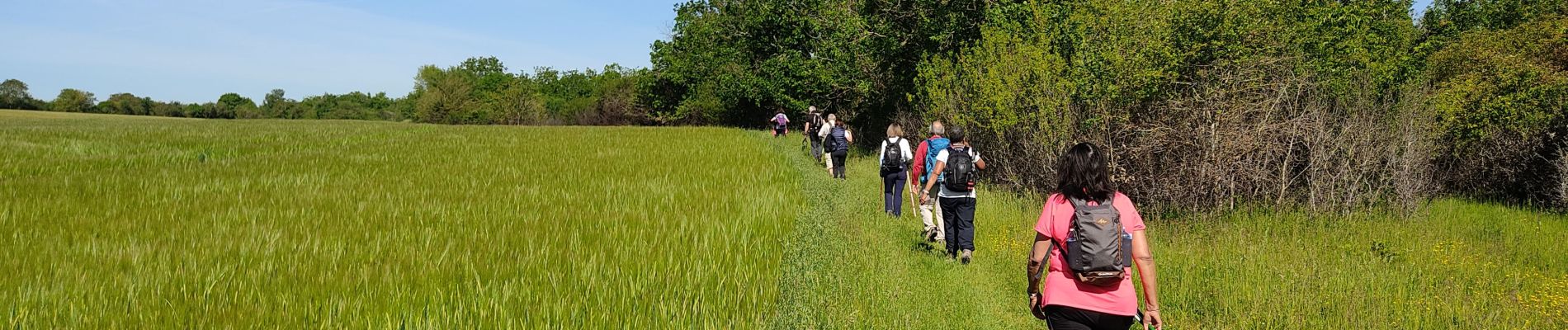 Tocht Stappen Étampes - base de loisirs d'Etampes - Photo