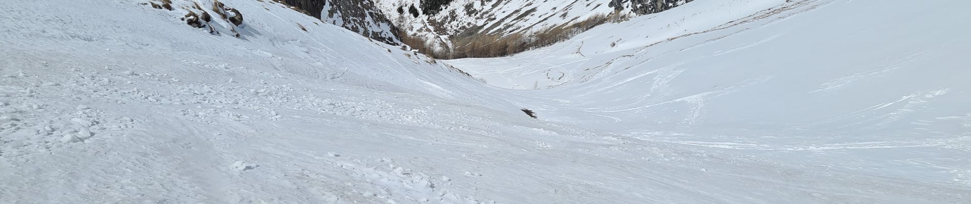 Tour Skiwanderen Villar-d'Arêne - chamoissiere  - Photo