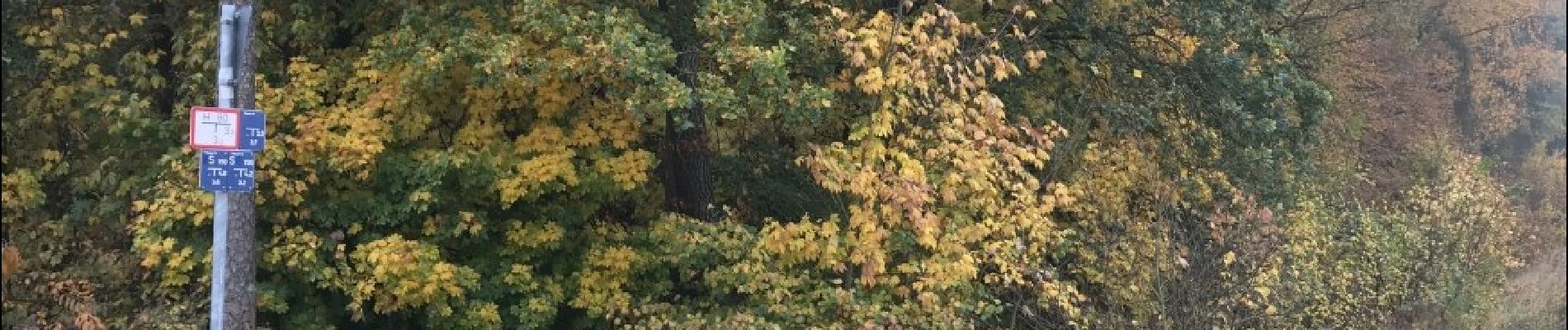 Tocht Te voet Nittenau - Wilder Mann 008, Naturpark Vorderer Bayerischer Wald - Photo